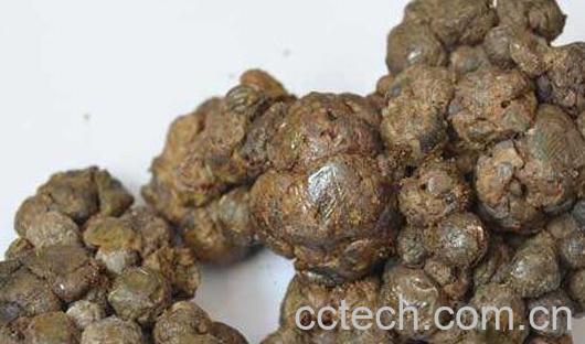 原始蜂胶怎样食用方法-0