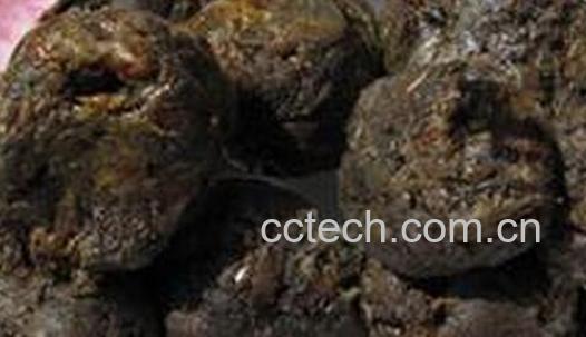 原始蜂胶怎样食用方法-1