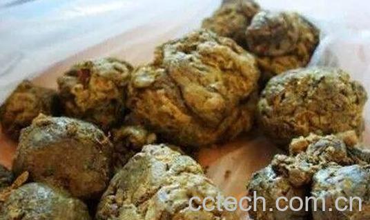 外用蜂胶膏的作用与功效-0