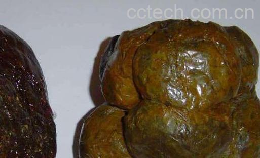 蜂胶4类人不能吃 看看吃蜂胶的禁忌有哪些-1