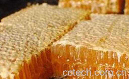 新巢蜜的功效与作用-1