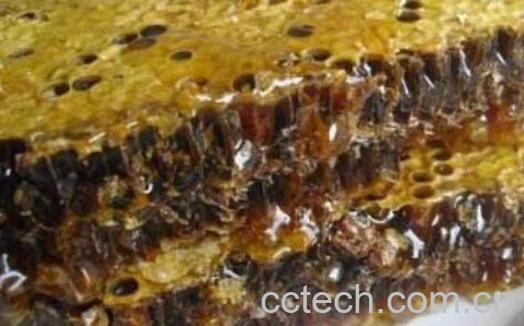 老蜂巢蜜的作用与功效-1
