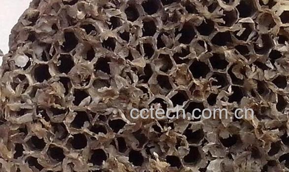 干马蜂窝的食用方法禁忌-0