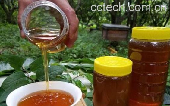 荔枝蜜的功效与作用 喝荔枝蜜的好处-0