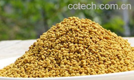 什么是破壁油菜花粉 破壁油菜花粉的作用与功效-1