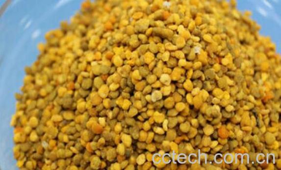 荞麦花粉的功效与作用 荞麦花粉的禁忌-0