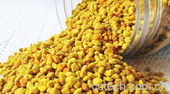 青海蜂花粉的功效与作用-0