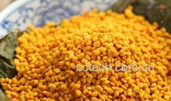 青海蜂花粉的功效与作用-1