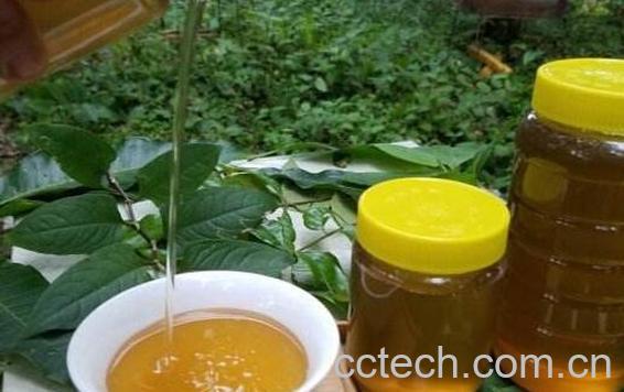 蜂蜜涂脸的正确方法 蜂蜜涂脸有什么好处-1