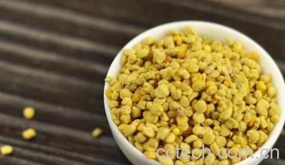 玉米蜂花粉的作用与功效-0