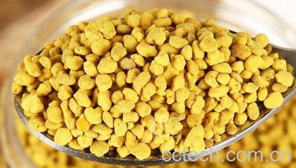 玉米蜂花粉的作用与功效-1
