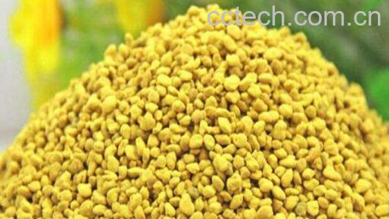 油菜花粉对性功能的好处-0