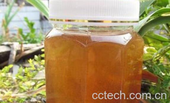 女人每天吃蜂蜜的后果 女性常喝蜂蜜的坏处-1