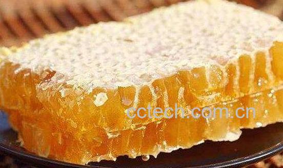 硬蜂房和软蜂房的区别-0