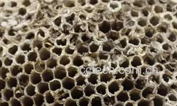 硬蜂房和软蜂房的区别-1
