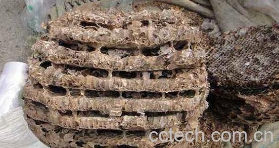 炙蜂房与蜂房的区别 蜂房的功效与作用-0