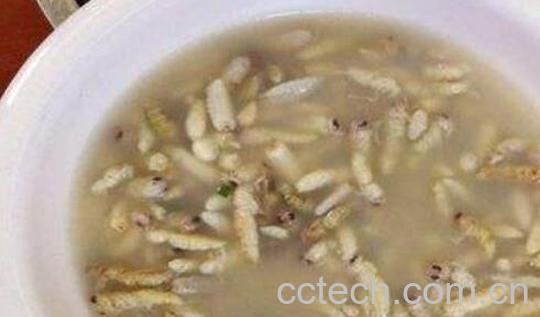 蜜蜂肉怎么做 蜜蜂肉吃了有什么效果-1