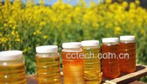油菜花蜜为什么便宜 油菜花蜜是最差的蜂蜜吗-0