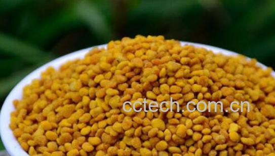 荷花花粉适合什么人吃 荷花花粉什么时候吃最好-1