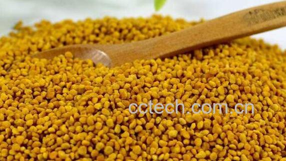 荷花花粉禁忌有哪些 长期吃荷花粉的危害-1