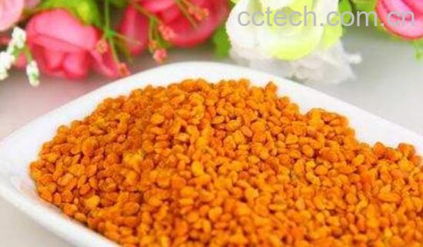 茶花粉怎么吃 茶花粉的食用方法-1