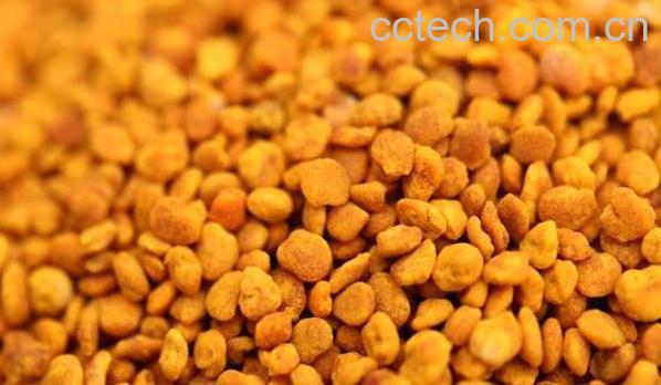 茶花粉的功效与作用 茶花粉的副作用-0