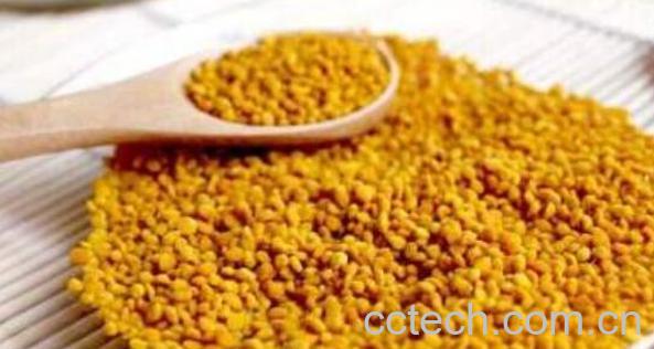 女人吃花粉的好处 女人吃花粉的坏处-0