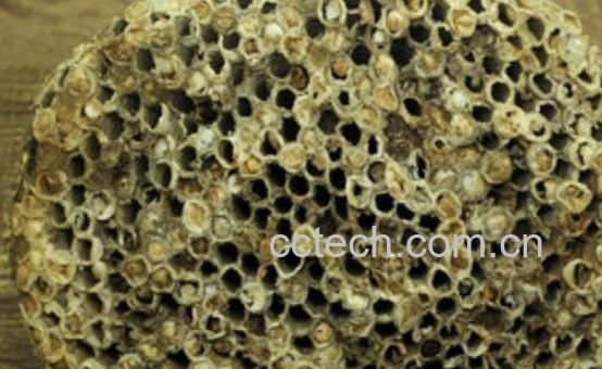 露蜂房与蜂巢的区别 露蜂房的功效-0
