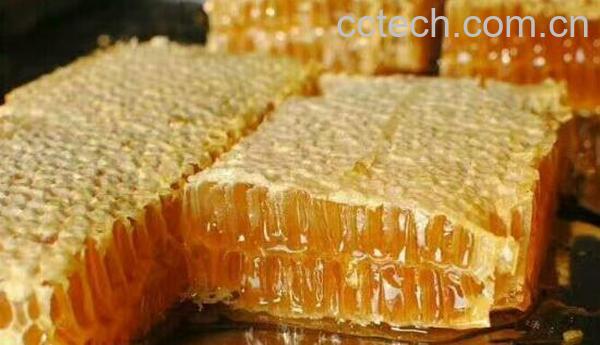 软蜂房与硬蜂房的区别 软蜂房的功效-1