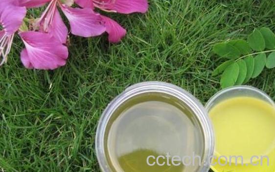 喝油菜花蜜的好处 油菜花蜜适合什么人喝-1