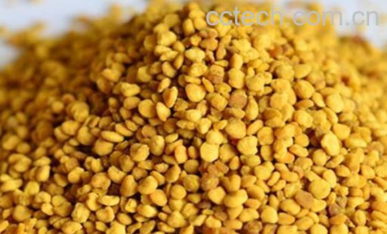 油菜蜂花粉的功效与作用 吃油菜蜂花粉的好处-1