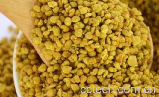 油菜蜂花粉的功效与作用 吃油菜蜂花粉的好处-0