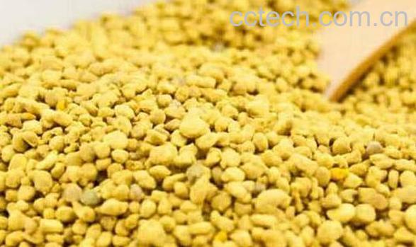 油菜花粉的功效与作用 油菜花粉怎么吃-1