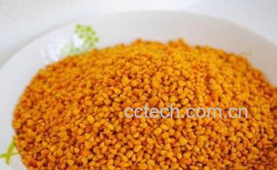 五味子花粉的功效与作用及禁忌-1