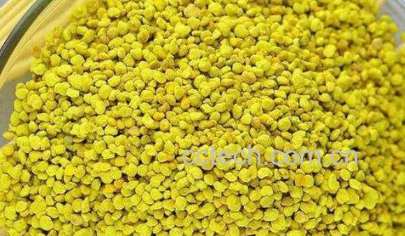 什么人群不适合吃花粉 吃花粉的副作用与禁忌-0