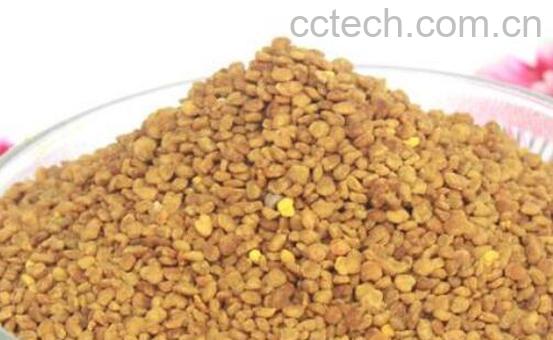 荞麦花粉的功效与作用 荞麦花粉的食用方法-1