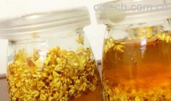 桂花蜜的功效与作用-0