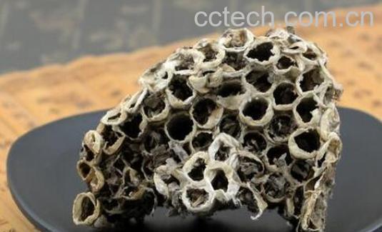 露蜂房和蜂房的区别 露蜂房的药用价值-0