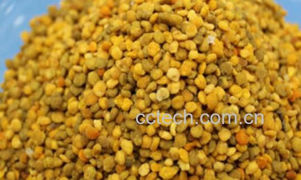 荞麦花粉的功效与作用及食用方法-1