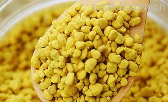 油菜花粉的功效与作用 油菜花粉的禁忌-0