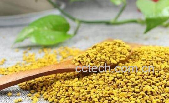 油菜花粉的功效与作用 油菜花粉的禁忌-1