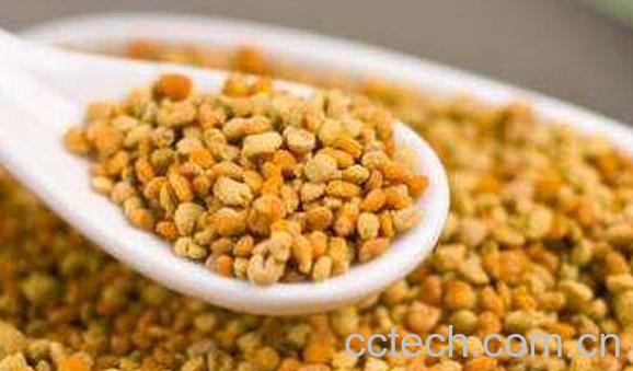 茶花粉的功效与作用 吃茶花粉的好处-0