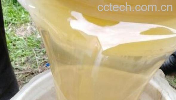 油菜花蜜的作用与功效-0