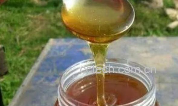 酸枣花蜜的功效与作用-0