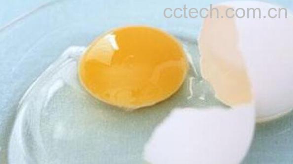 蛋清蜂蜜面膜如何做 蛋清蜂蜜面膜的做法教程-0