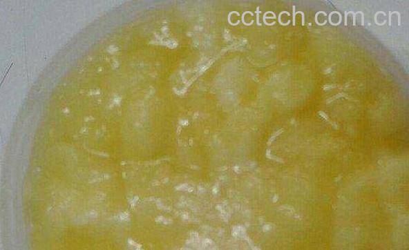 蜂王浆的味道是怎么样的 蜂王浆的味道怎么那么难吃-0