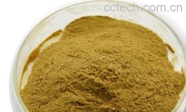 佛手粉的功效与作用-1