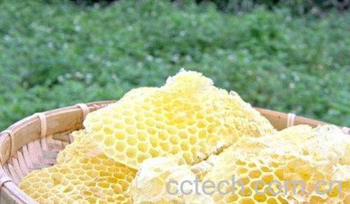 蜂蜡-1