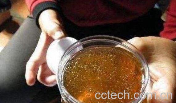怎样识别蜂蜜的真假 蜂蜜真假辨别方法图-1