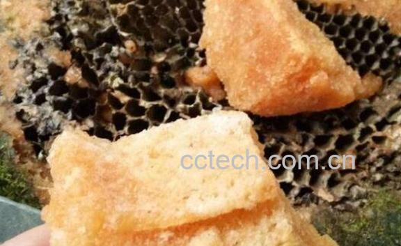 岩蜜怎么吃 岩蜜的食用方法有哪些-1